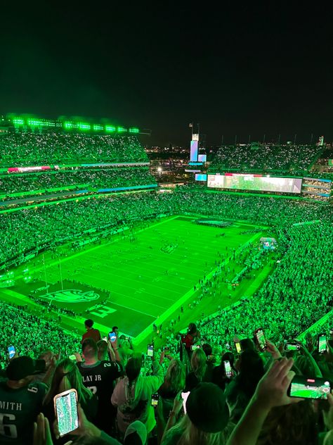 Philadelphia Eagles Aesthetic, Philly Aesthetic, Eagles Stadium, Philadelphia Eagles Stadium, Nfl Wife, Nfl Wives, Eagles Game, Philly Eagles, Blue Collage