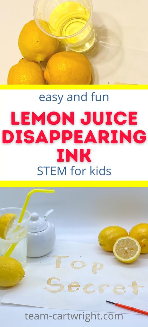 Text: Easy and Fun Lemon Juice Disappearing Ink STEM for Kids! Top Picture: Lemons and glass of homemade lemonade. Bottom Picture: Lemonade with yellow straw, lemons and lemon cut in half, sugar bowl, red paintbrush to write secret messages, and Top Secret written in DIY disappearing ink that has reappeared. Activities For Second Graders Fun, Science Projects For 1st Graders, Invisible Ink With Lemon Juice, Grade 2 Science Experiments, Science Week For Toddlers, Invisible Ink Experiment, 1st Grade Experiments, Science Experiments For First Grade, Kids Science Projects For School