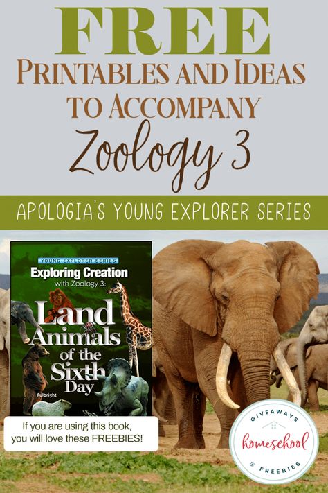 FREE Printables to go with each lesson in Apologia's Land Animals of the Sixth Day Zoology 3. #apologiascience Apologia Zoology 3 Land Animals, Homeschool Essentials, Start Homeschooling, Animal Lessons, Science Textbook, Land Animals, Animal Adaptations, Chart Ideas, Animal Worksheets