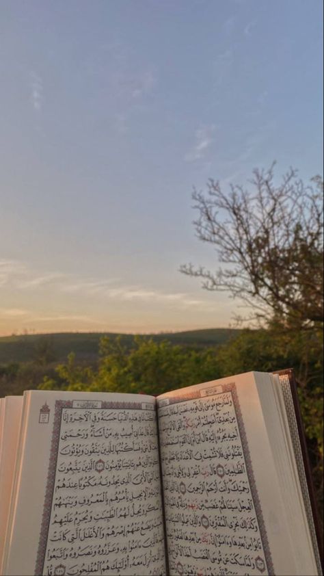 Al Qur'an Aesthetic, Quran Book, Quran Surah, Muslim Pictures, Quran Recitation, Muslimah Aesthetic, Muslim Lifestyle, The Quran, Islamic Wallpaper