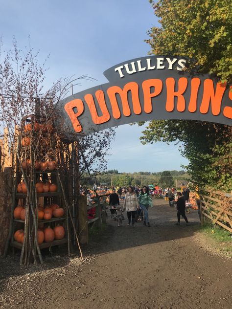 Pumpkin Picking Sign Tulleys Farm Tulleys Farm Halloween, Pumpkin Farm Aesthetic, Pumpkin Patch Entrance, Fall Fair Games, Pumpkin Carving Station, Pumpkin Patch Ideas, 2000s Autumn, Pumpkin Board, Hay Maze