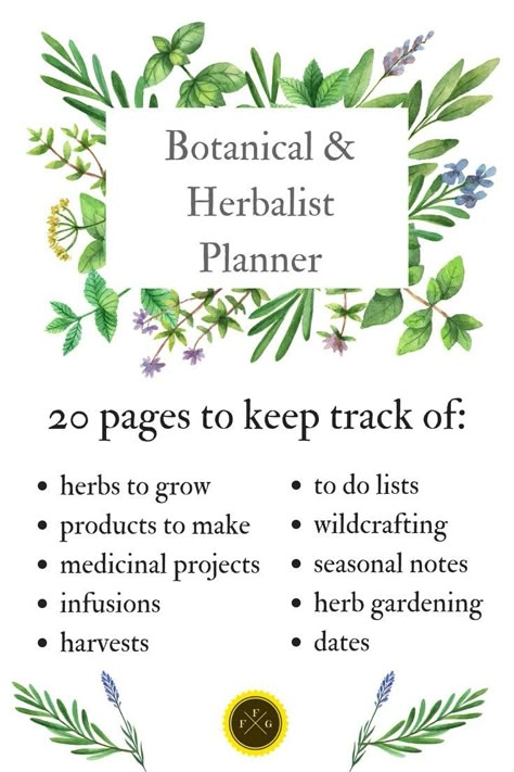 Gardening Notes, Herbs To Grow, Herb Gardening, Organic Vegetable Garden, Herbal Apothecary, Garden Planner, Herbal Products, Herbal Healing, Food Garden