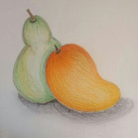 Mango and pear color pencil Pear Drawing, Colour Shading, Monochromatic Painting, Easy Drawings For Kids, Color Pencil, Kids Art, Painting For Kids, Color Shades, Drawing For Kids