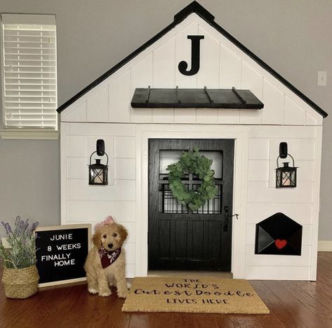 Dog Playhouse Indoor, Dog Playroom, Dogs Bedroom, Dog Under Stairs, Basement Playhouse, Dog House Inside, Under Stairs Dog House, Cute Dog House, Doggie Door