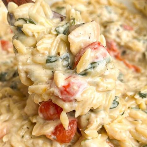 Orzo Tuscan Chicken Bake - Bad Batch Baking - Family Favorite Recipes Orzo Chicken Bake, Tuscan Chicken Bake, Autumn Squash Soup Recipe, Panera Autumn Squash Soup, Louisiana Chicken Pasta, Chicken Broccoli Pasta, Batch Baking, Restaurant Copycat, Marry Me Chicken