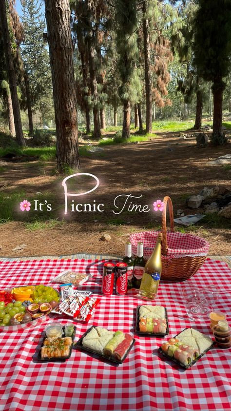 Picnic Instagram Story Ideas, Aesthetic Picnic Photos, Picnic Aesthetic Food Ideas, Picnic Ig Story, Picnic Pictures Ideas, Picnic Story Instagram, Picnic Photo Ideas Instagram, Picnic Instagram Story, Small Picnic Ideas