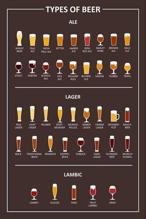 42 Different Types of Beer – How Well Do You Know Your Beer Options Beer Infographic, Beer Calories, Beer Food Pairings, Beer Facts, Different Types Of Beer, Beer Types, Beer Guide, Types Of Beer, Beer Pairing