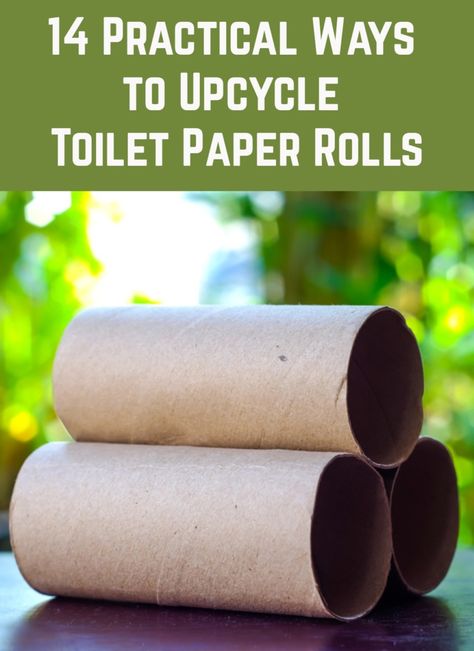 Tissue Roll Crafts, Toilet Paper Roll Diy, Toilet Roll Craft, Paper Towel Tubes, Rolled Paper Art, Toilet Paper Tube, Toilet Paper Crafts, Diy Toilet, Toilet Paper Rolls