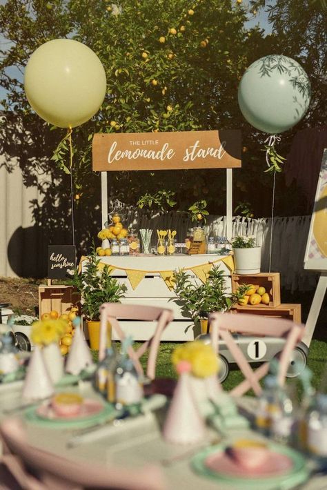 Lemonade Stand from a Vintage Chic Sunshine & Lemonade Party on Kara's Party Ideas | KarasPartyIdeas.com (36) Lemonade Stand Birthday, Lemonade Stand Party, Lemon Themed Party, Kids Lemonade, Diy Lemonade Stand, Diy Lemonade, Lemon Themed Bridal Shower, Pink Lemonade Party, Sunshine Birthday Parties