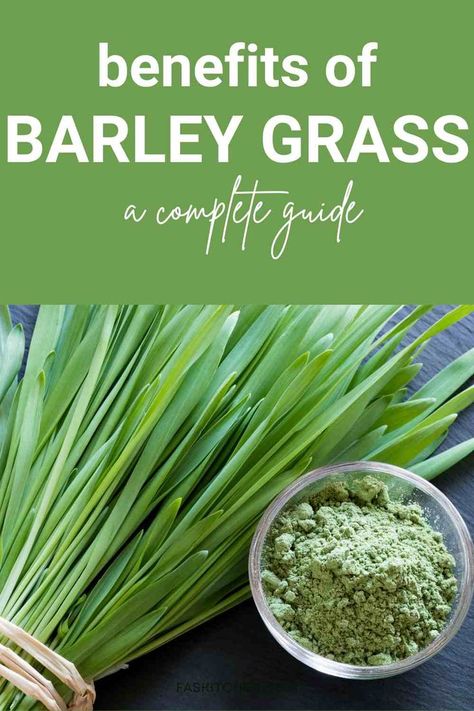 A bowl of barley grass, showcasing its vibrant green color and potential as a nutrient-rich superfood. Barley Grass Juice Powder Benefits, Barley Grass Powder Benefits, Barley Benefits Healthy, Barley Grass Benefits, Barley Plant, Barley Health Benefits, Barley Benefits, Raisins Benefits, Barley Powder