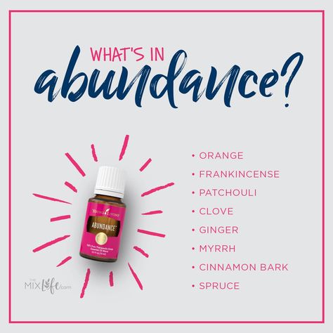 Oils For Abundance, Young Living Abundance, Abundance Oil, Young Living Essential Oils Starter Kit, Abundance Essential Oil, Young Living Essential Oil Diffuser, Scent Blends, Essential Oil Starter Kit, Roller Bottle Blends