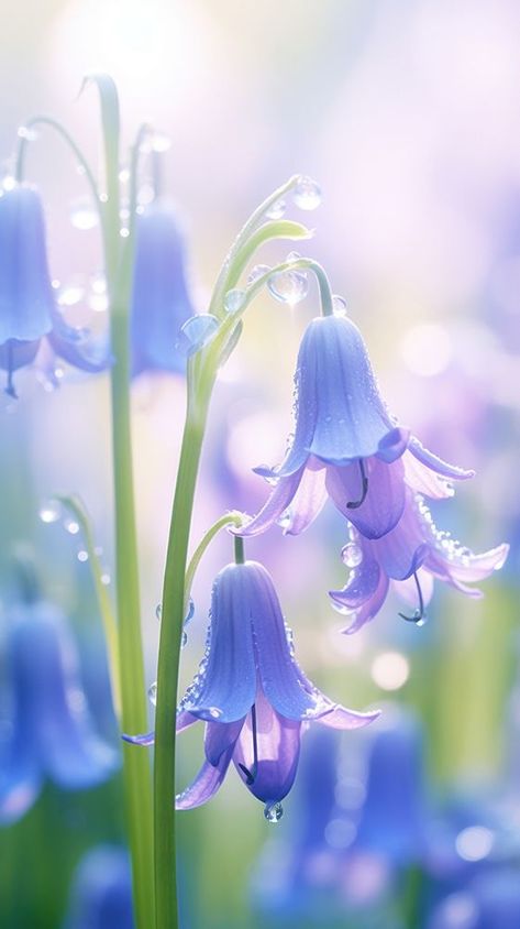 Close up of bluebells flower outdoors blossom. | free image by rawpixel.com / Ling Pastel Green Iphone Wallpaper, Iphone Wallpaper Lavender, Blue Flower Names, Bluebells Flower, Green Iphone Wallpaper, Iphone Wallpaper Pastel, Wallpaper Lavender, Blue Flower Pictures, Spring Iphone Wallpaper