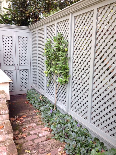 White Lattice Fence, Lattice Privacy Fence, Yard Trellis, Outdoor Privacy Panels, Lattice Privacy Screen, Fence Trellis, Garden Gates And Fencing, Trellis Fence, Privacy Landscaping