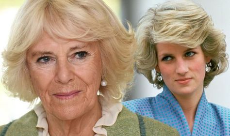 Princess Diana Hair, Camilla Duchess Of Cornwall, Camilla Parker Bowles, Bride Dolls, Duchess Of Cornwall, The Royal Family, British Royalty, The Duchess, Prince Charles