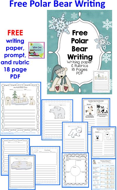 Polar Bear Writing, Polar Bear Unit, Polar Bears Activities, Winter Homeschool, Winter Study, Essay Rubric, Writing Kindergarten, Free Writing Paper, Polar Bear Craft