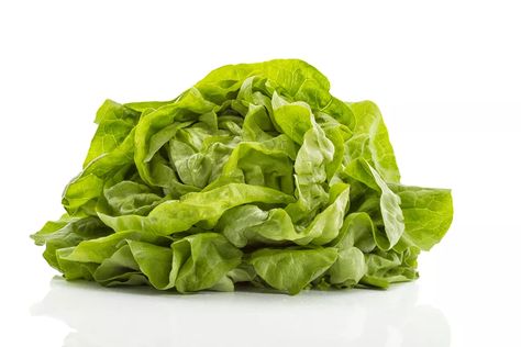 What Is Butter Lettuce and How Is It Used? Wilted Lettuce Salad, Cucumber Pasta, Cucumber Pasta Salad, Hot Bacon Dressing, Lettuce Recipes, Wilted Lettuce, Leaf Lettuce, Butter Lettuce, Baked Lasagna