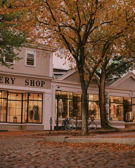 Nantucket Autumn, Vibes Are Off, Lady Girl, Fall Feels, Lady Grey, Cozy Vibes, Autumn Cozy, Autumn Aesthetic, Coffee Shops