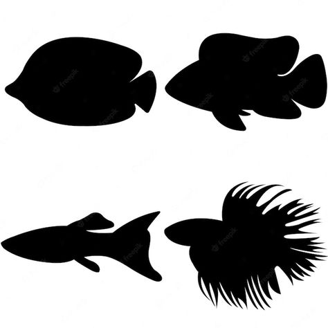 Premium Vector | Sea animal silhouette 4 Sea Animal Silhouette, Duck Silhouette, Boat Vector, Marine Organism, Fish Silhouette, School Play, Animal Silhouette, Sea Animal, Black Shadow