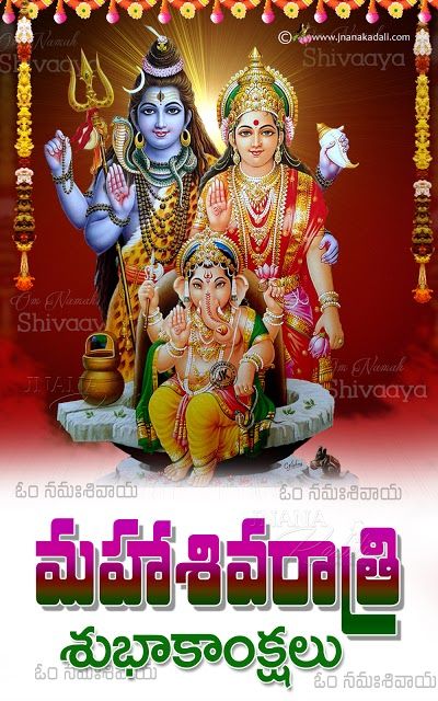 Maha Shivaratri Story, Shiva Marriage, Shivaratri Quotes, Shiva Vector, Shivaratri Wishes, Maha Shivaratri Wishes, Happy Pongal Wishes, Pongal Wishes, Quotes For Family