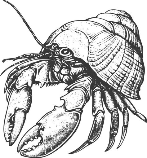 Hermit crab animal with engraving style black color only Hermit Crab Tattoo, Hermit Crab Drawing, Crab Animal, Crab Drawing, Ink Patterns, Crab Tattoo, Flash Ideas, Hermit Crabs, The Hermit