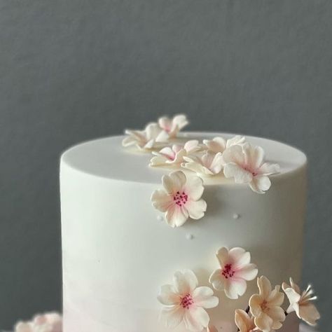 Cherry Blossom Cake Wedding, Cherry Blossom Cake, Cherry Blossom Tree, White Cake, Christening, Cherry Blossom, Cherry, Wedding Cakes, Blossom