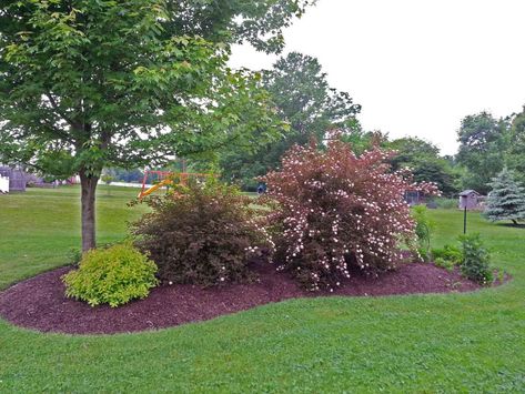 Burm Landscaping, Garden Island, Hillside Garden, Privacy Landscaping, Front Landscaping, Garden Shrubs, Beautiful Yards, Front Lawn, Home Landscaping