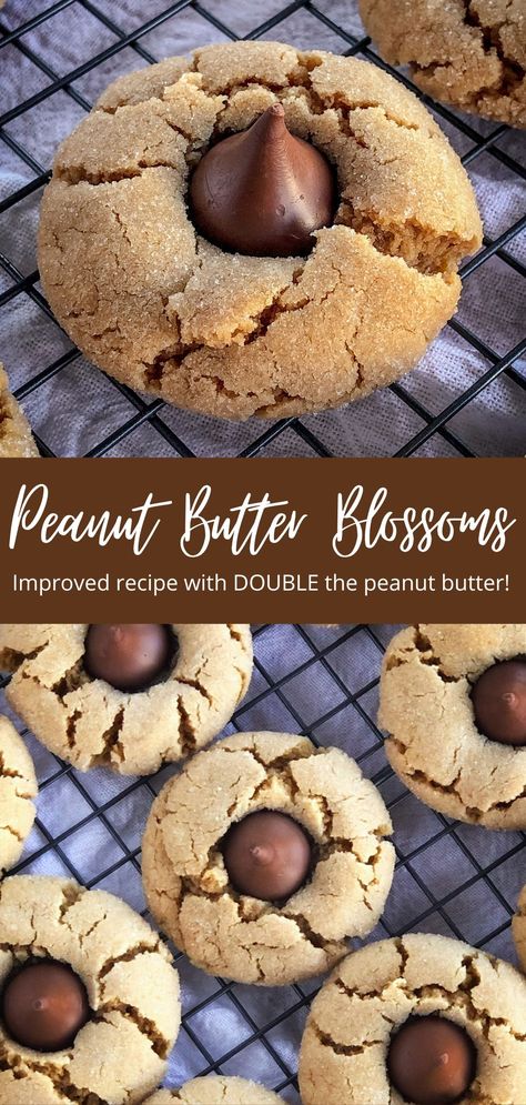 The Very Best Peanut Butter Blossoms Cookies Best Peanut Butter Blossoms, Peanut Butter Blossoms Cookies, Peanut Butter Hershey Kiss Cookies, Blossoms Cookies, Peanut Blossom Cookies, Peanut Butter Blossoms Recipe, Hershey Kiss Cookies, Peanut Butter Blossom, Peanut Butter Kiss