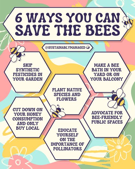 Image with title "6 ways you can save the bees". @SustainablyManaged. Colorful floral background, and bee stickers. Hexagon Grid with text- Skip synthetic pesticides in your garden, Make a bee bath in your yard or on your balcony, Plant native species and flowers, Cut down on your honey consumption and only buy local, Advocate for bee-friendly public spaces like parks, Educate yourself on the importance of pollinators Save The Bees Project, Bee Lapbook, Bee Information, Bees Project, Save The Bees Art, Bee Facts For Kids, Conservation Poster, Bees Infographic, How To Save The Bees