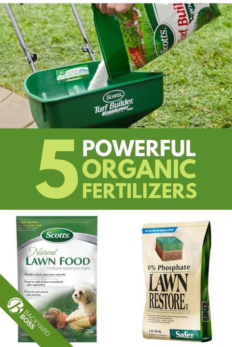 There are several ways to fertilize your lawn. We can use a compost made from tea bags and eggshells in our yards or we can purchase an organic lawn fertilizer. Here we have reviews of the 5 best organic fertilizers on the market for your plants, vegetables, garden, and grass. You can decide between ones that offer weed killers or others that claim to keep your lawn green. #fertilizer #vegetable #gardening #reviews Organic Lawn Fertilizer, Grass Fertilizer, Lawn Care Schedule, Lawn Food, Lawn Care Business, Lawn Fertilizer, Diy Lawn, Aerate Lawn, Lawn Care Tips