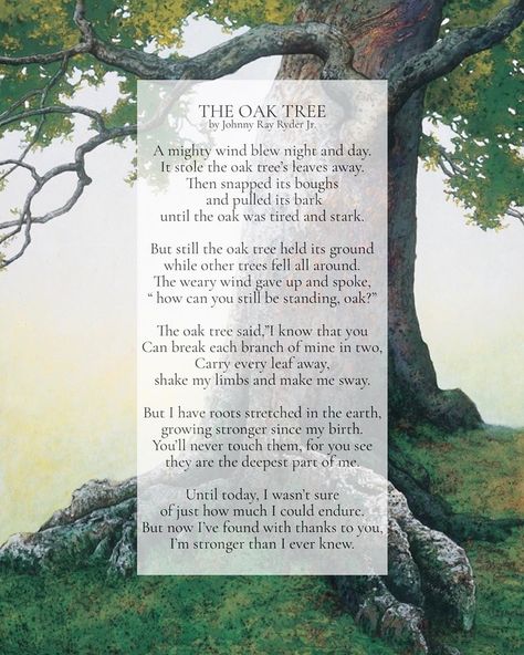 Winds of change on Instagram: “The Oak Tree  by Johnny Ray Ryder Jr.  A mighty wind blew night and day. It stole the oak tree’s leaves away. Then snapped its boughs  and…” Wind Poem, Motivational Short Stories, Tree Poem, Tree Story, Tree Quotes, Inspirational Wall Decals, Romantic Poems, Sweet Romantic Quotes, Positivity Quotes