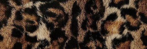 Leopard Widget, Cute Headers For Twitter, Jaguar Print, Leopard Prints, Cute Headers, Mac Wallpaper, Twitter Layouts, Jazz Club, Header Banner