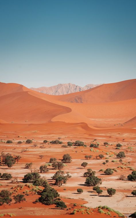 Namibia Desert, Deserts Of The World, Namib Desert, Fantasy City, Countries Around The World, African Culture, Africa Travel, Landscape Photos