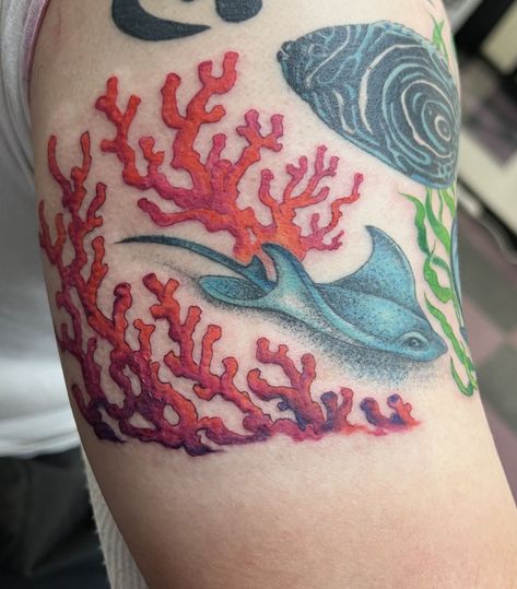 Coral Reef Tattoo Coral Reef Tattoo, Reef Tattoo, Coral Reef Drawing, Coral Tattoo, Mermaid Sleeve Tattoos, Underwater Tattoo, Stingray Tattoo, Dragonfly Tattoo Design, Octopus Tattoos