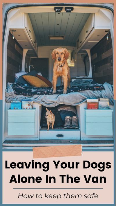 Van Conversion Dog, Camper Dog, Conversion Vans, Minivan Camping, Enclosed Trailer, Camper Van Life, Trailer Storage, Living With Dogs, Trailer Camping