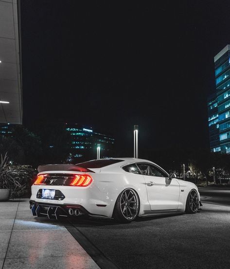 White Mustang Gt, Fort Mustang, New Tesla Roadster, White Mustang, Sports Cars Mustang, Ford Mustang Ecoboost, New Tesla, Aesthetic Cool, Ford Mustang Car