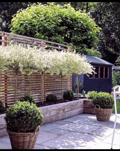 Pergola Area, Privacy Ideas, Small Garden Landscape, Period Home, Small Courtyard Gardens, Courtyard Gardens Design, Garden Inspo, Garden Privacy, Back Garden Design