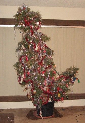 This poor Christmas Tree!!!! Poor Christmas, Ugly Christmas Tree, Holiday Weight, Vintage Christmas Photos, Scary Christmas, Tacky Christmas, Gift Drawing, Unique Christmas Trees, Christmas Cactus