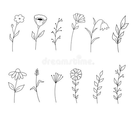 Plants Outline, Wildflower Drawing, Line Art Flowers, Botanical Line Drawing, Flower Line Drawings, Floral Doodle, Flower Silhouette, Vector Elements, Flower Outline