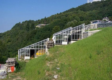 Fruits Farming, Roof Greenhouse, Slope Garden, Underground Greenhouse, Enfj Personality, Food Forest Garden, Greenhouse Farming, Tropical Greenhouses, Commercial Greenhouse