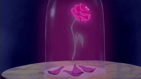 Wallpaper Rosa, Disney Icons, Enchanted Rose, Disney Princes, Old Disney, Pixar Movies, Pinturas Disney, Disney Beauty And The Beast, Disney Aesthetic