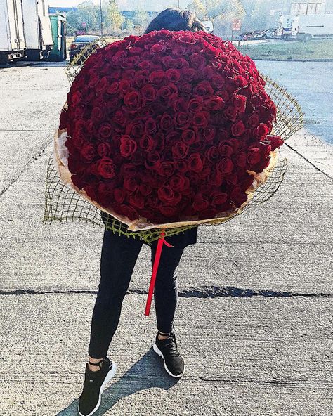 300 red roses!  #redroses #roses #love #bouquet #flowerdelivery #hugebouquet 300 Roses Bouquet, Love Bouquet, Red Rose Bouquet, Rose Bouquet, Flower Delivery, Flower Crafts, Red Rose, Flower Shop, Flowers Bouquet