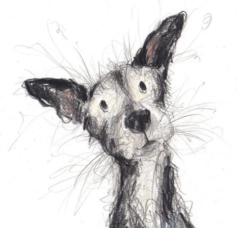 Dog Drawing Detailed, Dog Pen Drawing, Dog Scribble Art, Dog Colour Pencil Drawing, Pencil Pet Portraits, Paint Your Pet, Animal Art Projects, Whimsical Art Paintings, Scribble Art