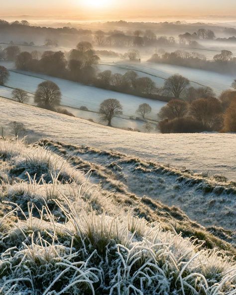 Winter Foggy Morning Snap, Snowy Morning Aesthetic, Frosty Morning Aesthetic, Frost Aesthetic, Early Winter Morning, Winter Foggy Morning, Frosty Morning Photography, Morning Frost, Frosty Morning