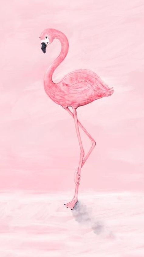 Pink Flamingo Aesthetic, Flamingo Aesthetic, Flamingo Figurines, Flamingo Clip Art, Seasonal Wallpaper, Flamingo Artwork, Flamingo Illustration, Fancy Flamingo, Flamingo Wallpaper