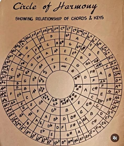 Save this now ✅✅ . Circle of Fifths . . . #GuitarGods #music #musiceducation #musicedits #chords #Guitarists #GuitarLife #piano #pianocover #cover #pop #RockMusic #rock #punk #edm #flstudio Circle Of Fifths Wallpaper, Circle Of Fifths, Major Scale, Piano Cover, Rock Punk, Music Education, Rock Music, Guitarist, Piano