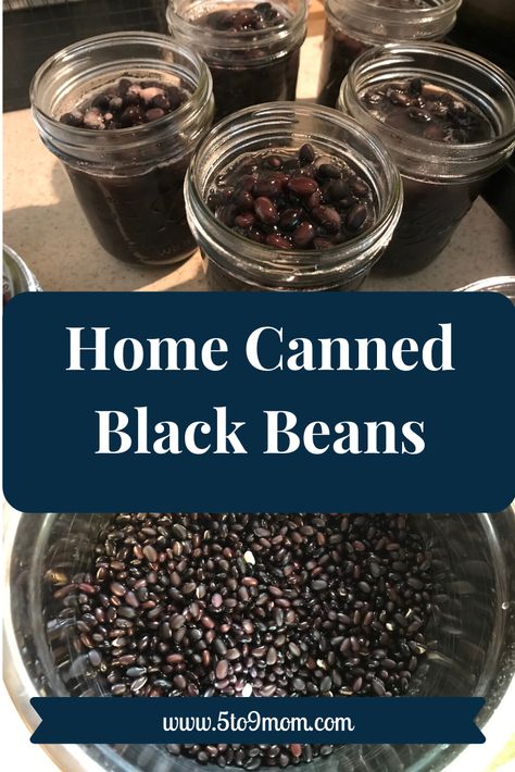 Canning Black Beans, Canning Beans, Pressure Canning Recipes, Dried Black Beans, Home Canning Recipes, Canning Vegetables, Black Bean Recipes, Canning Food Preservation, Canned Food Storage