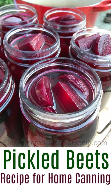 Yesterday we harvested a boatload of beets and since I am a HUGE fan of pickled beets, I decided to can a few pints {7 to be exact!}.  Although I do plan on canning more beets as the season progresses, this first canning session using the outdoor cook stove was good start to getting our … Canning Beets, Pickled Beets Recipe, Canning 101, Home Canning Recipes, Canning Vegetables, Canning Food Preservation, Canning Tips, Refrigerator Pickles, Beet Recipes