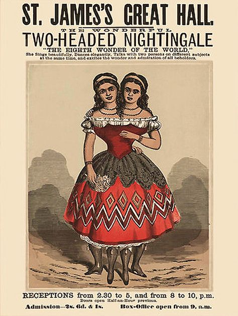 two headed girl Circus Graphics, Human Diversity, Old Circus, Sideshow Freaks, Vintage Circus Posters, Creepy Carnival, Circus Sideshow, Human Oddities, Conjoined Twins