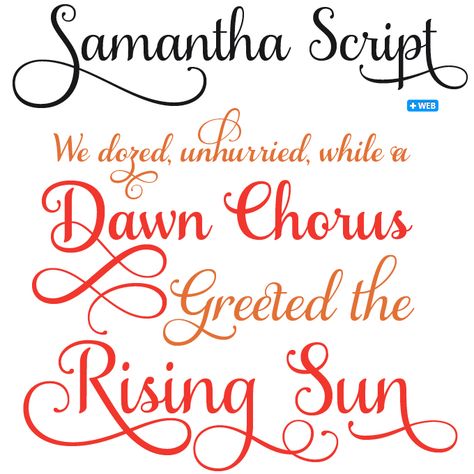 Samantha Script font sample Monogram Cricut, Samantha Font, Silhouette Fonts, Calligraphy Script Fonts, Fonts Calligraphy, Lettering Letters, Typography Typeface, Font Lettering, Best Script Fonts