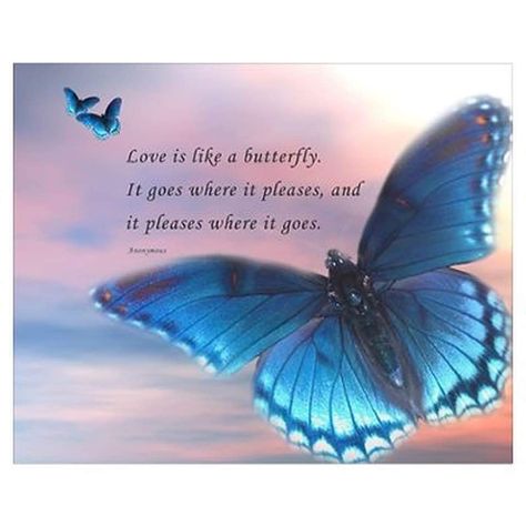 Butterfly Love Quotes, Love Is Like A Butterfly, Butterfly Poems, On The Wings Of Love, Barbie Quotes, Butterfly Love, Bear Quote, Butterfly Quotes, Heaven Quotes